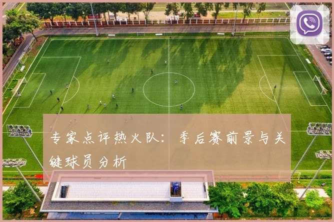 专家点评热火队：季后赛前景与关键球员分析